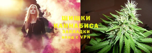 альфа пвп Бородино