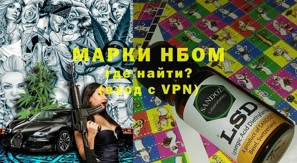прущие грибы Бугульма