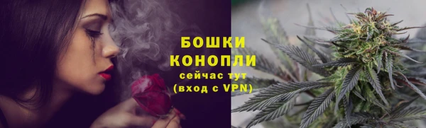 прущие грибы Бугульма