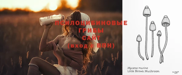 прущие грибы Бугульма