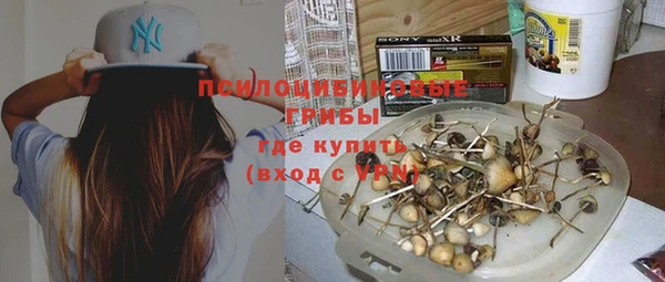 прущие грибы Бугульма