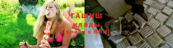 прущие грибы Бугульма