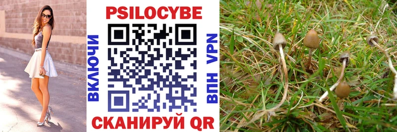 Галлюциногенные грибы Psilocybine cubensis  дарнет шоп  Ноябрьск 